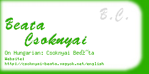 beata csoknyai business card